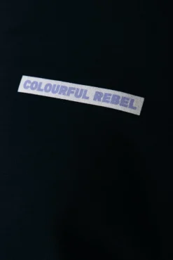 Hoodies*Colourful Rebel Box Logo Hoodie | Black