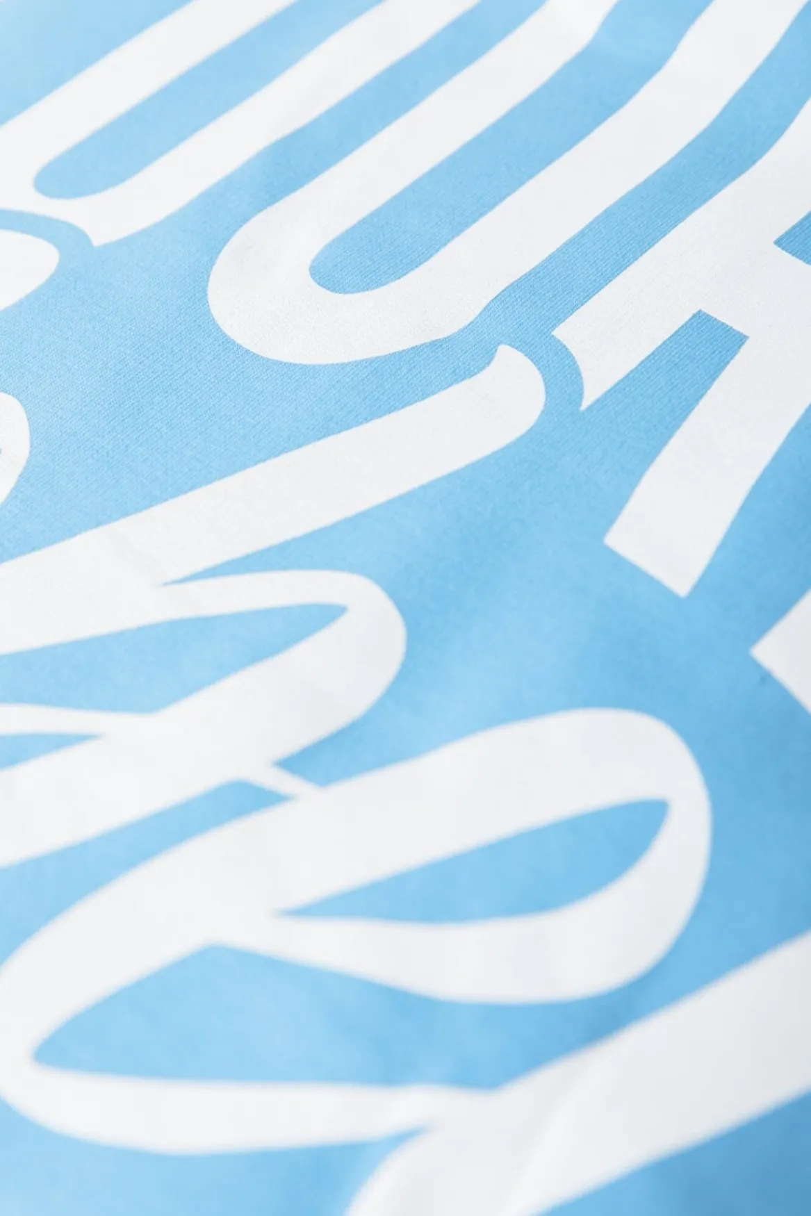 Truien*Colourful Rebel Logo Sweat | Mist Blue Mistblue