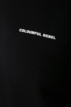 Hoodies*Colourful Rebel CR Back Logo Hoodie | Off black / Washed black