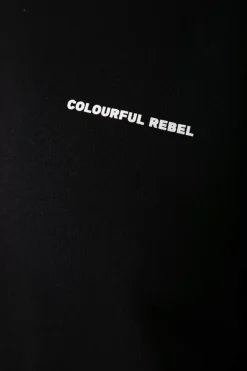 Hoodies*Colourful Rebel CR Bold Logo Hoodie | Black
