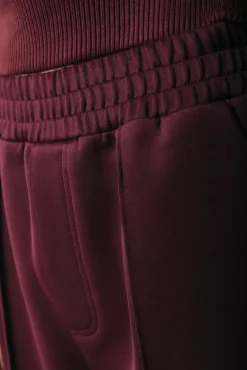 Broeken*Colourful Rebel Jiby Pintuck Pants | Port Red Portred