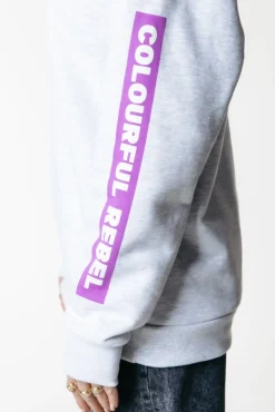 Hoodies*Colourful Rebel Sleeve Logo Hoodie | Light grey melange Lightgreymelange