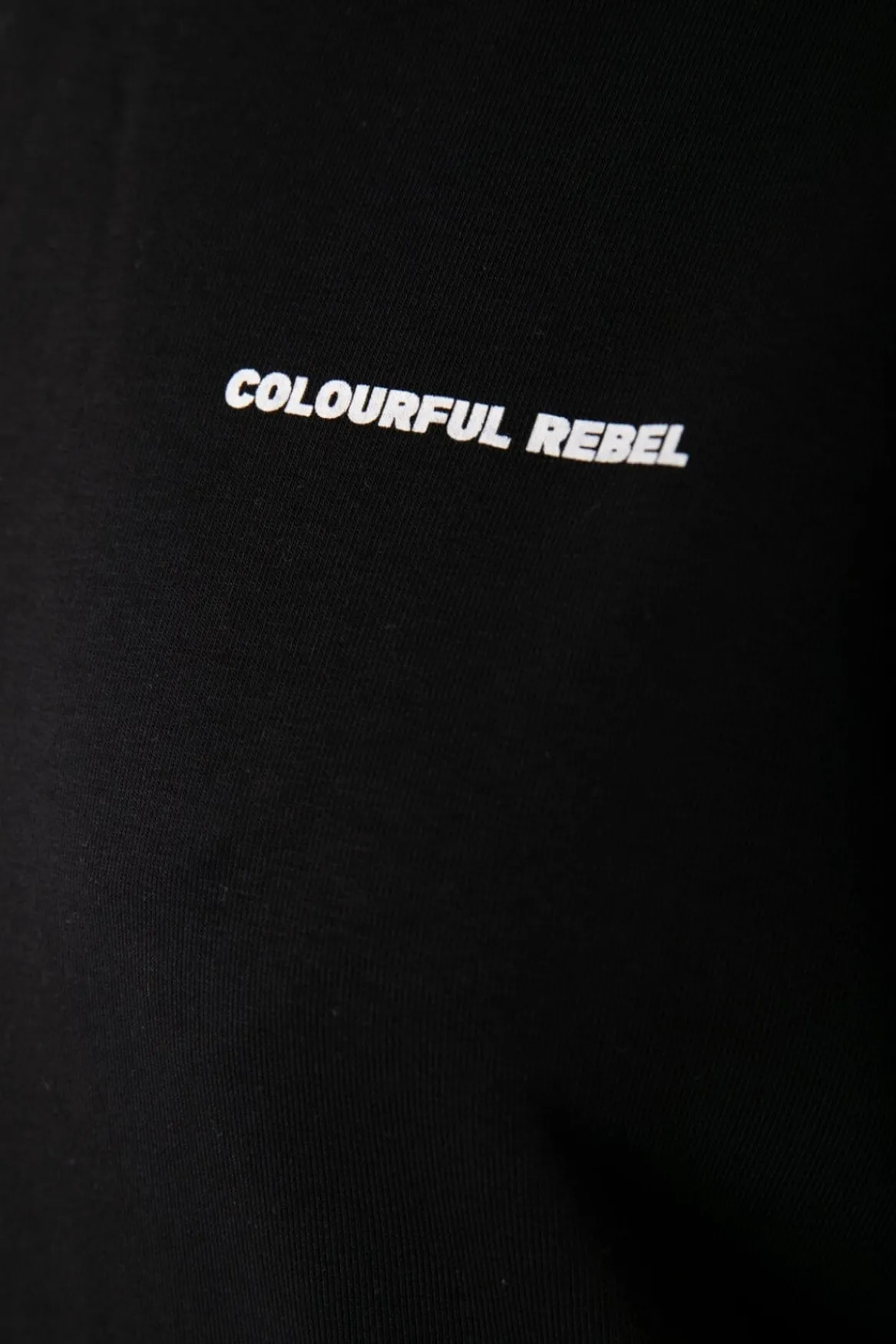 Hoodies*Colourful Rebel State Champ Hoodie | Black
