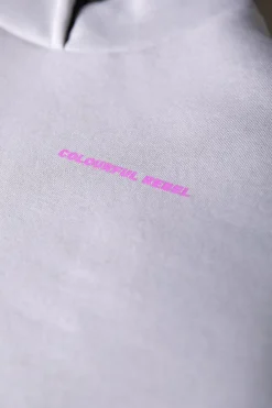 Hoodies*Colourful Rebel Travel Hoodie | Grey