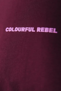 T-shirts*Colourful Rebel Uni Logo T-shirt | Port Red Portred