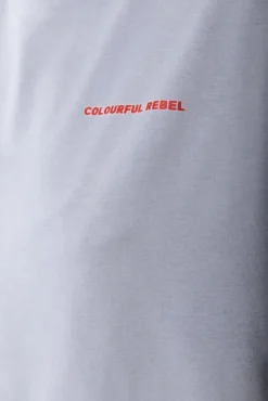T-shirts*Colourful Rebel World Tour T-shirt | Light grey Lightgrey